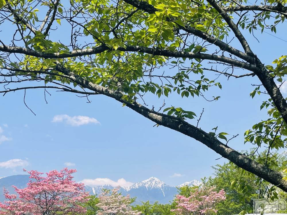 ��ˬ����Х��顦�����CLUB Red(����� ��å�) �ߤ���2��4���̥�֥����֥֥����Ϥ�ޤ���🤗��