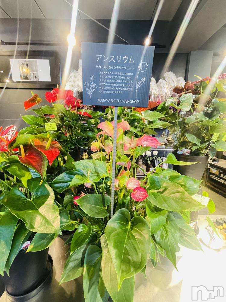 ��ˬ����Х��顦�����CLUB Red(����� ��å�) �ߤ���5��16���̥�֥����ֺ������äѤ������ܤ���ιΩ���ޤ�����