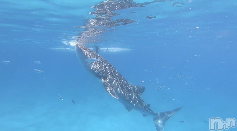 ��ˬ����Х��顦�����CLUB Red(����� ��å�) �ߤ���5��26���̥�֥����֤�ޤ����birthday��