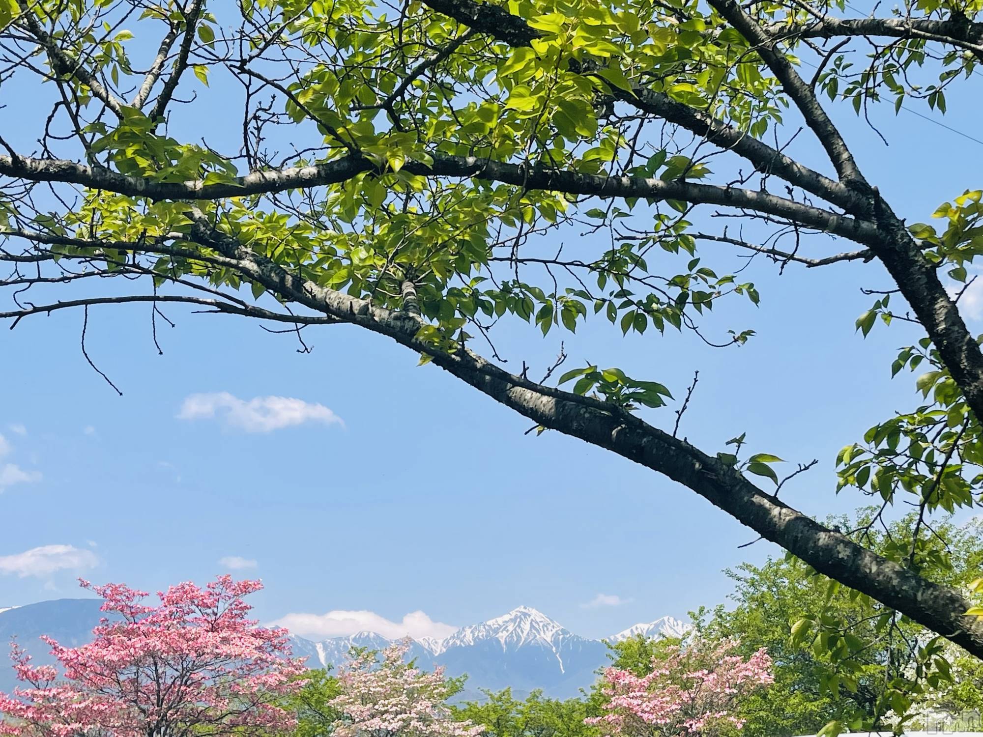 ��ˬ����Х��顦�����CLUB Red(����� ��å�) ��2023ǯ2��4���̥�֥����֥֥����Ϥ�ޤ���🤗��