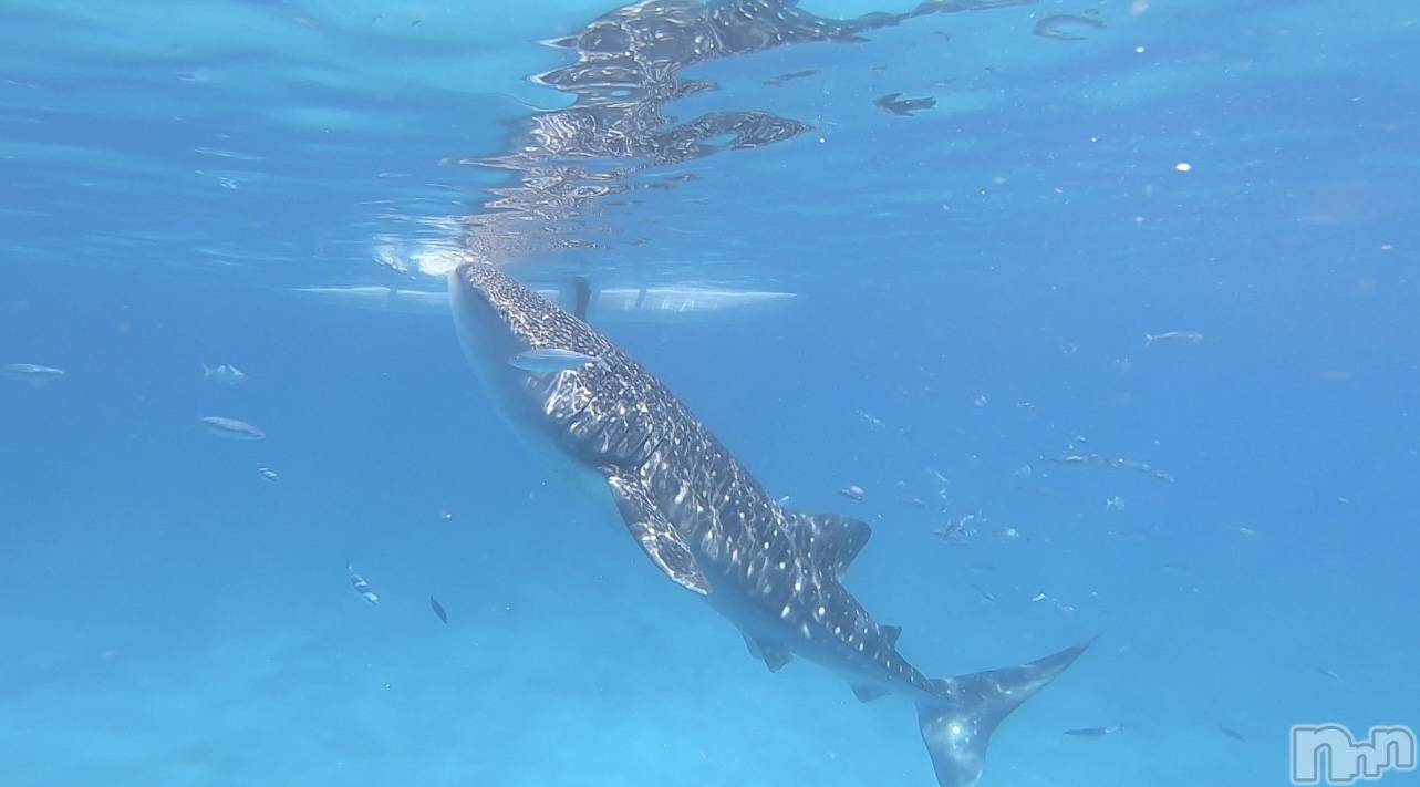 ��ˬ����Х��顦�����CLUB Red(����� ��å�) ��2023ǯ5��26���̥�֥����֤�ޤ����birthday��