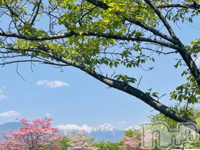 ��ˬ����Х��顦�����CLUB Red(����� ��å�) �ߤ���2��4���̥�֥����֥֥����Ϥ�ޤ���🤗��