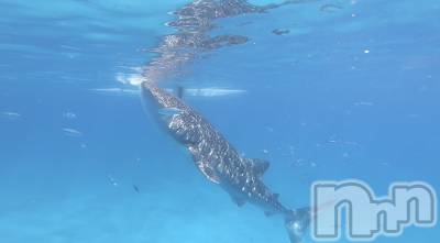 ��ˬ����Х��顦�����CLUB Red(����� ��å�) �ߤ���5��26���̥�֥����֤�ޤ����birthday��