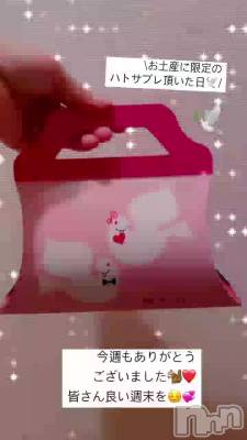 🕊️���֥�