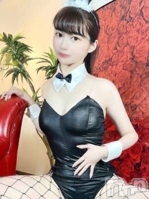 レイ(23) 身長165cm、スリーサイズB85(D).W57.H86。新潟ソープ 新潟バニーコレクション在籍。