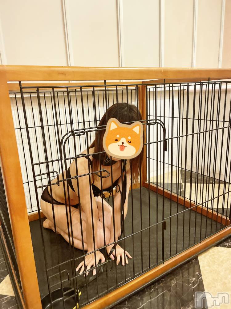 三条デリヘル人妻じゅんちゃん-出稼ぎ0！地元の奥様専門-(ヒトヅマジュンチャン) 流川かえで☆あどけない笑顔(36)の7月12日写メブログ「わんわん🐶🐾」