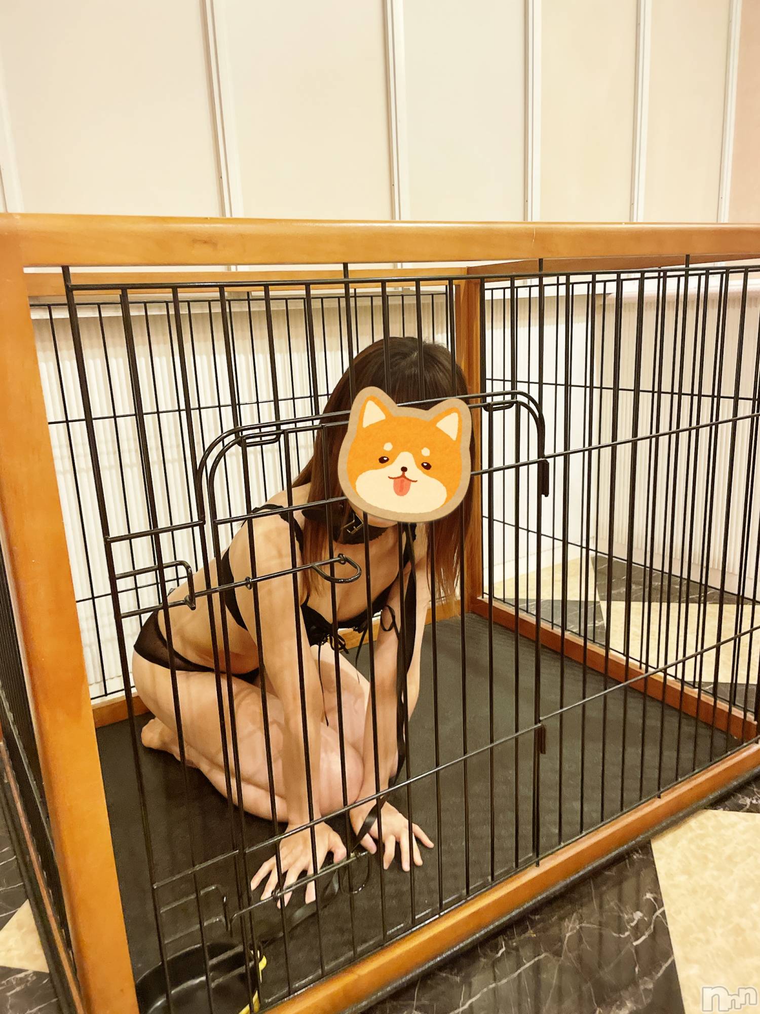 三条デリヘル人妻じゅんちゃん-出稼ぎ0！地元の奥様専門-(ヒトヅマジュンチャン)流川かえで☆あどけない笑顔(36)の2023年7月12日写メブログ「わんわん🐶🐾」