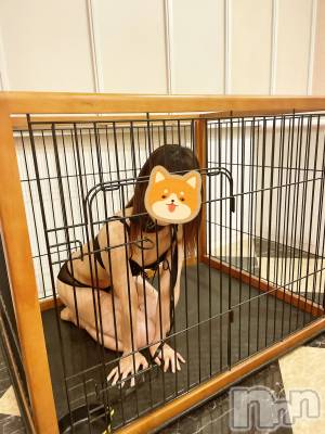 三条デリヘル 人妻じゅんちゃん-出稼ぎ0！地元の奥様専門-(ヒトヅマジュンチャン) 流川かえで☆あどけない笑顔(36)の7月12日写メブログ「わんわん🐶🐾」