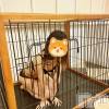 三条デリヘル 人妻じゅんちゃん-出稼ぎ0！地元の奥様専門-(ヒトヅマジュンチャン) 流川かえで☆あどけない笑顔(36)の7月12日写メブログ「わんわん🐶🐾」