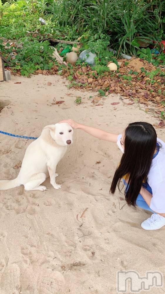 Įʥå륺Сsnack NODOKA(ʥåΥɥ) 椺108̥֥֥åååå̡