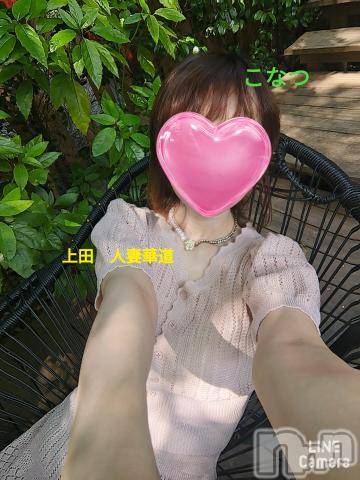 上田発人妻デリヘル人妻華道 上田店(ヒトヅマハナミチウエダテン) 【熟女】こなつ(40)の9月4日写メブログ「熱海　来宮神社つづ樹の間」
