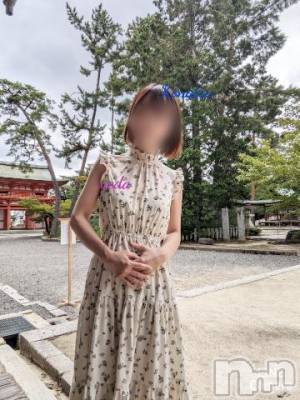 上田発人妻デリヘル 人妻華道 上田店(ヒトヅマハナミチウエダテン) 【熟女】こなつ(40)の11月14日写メブログ「出町の飛び石　鴨川デルタ」