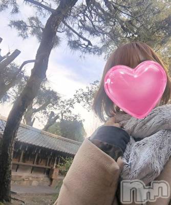 京都日記🧡藤森神社の本殿へ