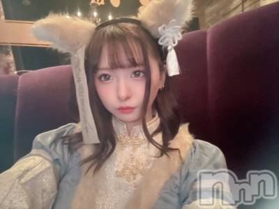 ƲХ顦THE LOUNGE (饦󥸥ե) ꤢ329̥֥֤ۡ
