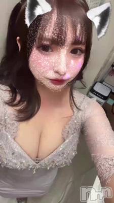 🐈