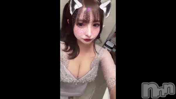 &#x1F408;