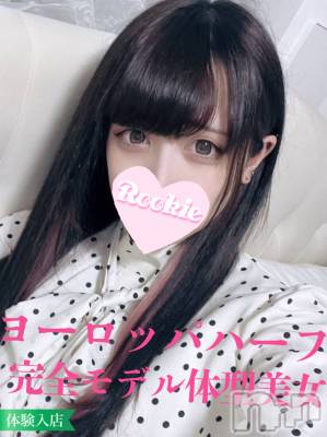 いお☆ヨーロッパハーフ美女(20) 身長172cm、スリーサイズB88(E).W56.H86。長岡デリヘル ROOKIE(ルーキー)在籍。
