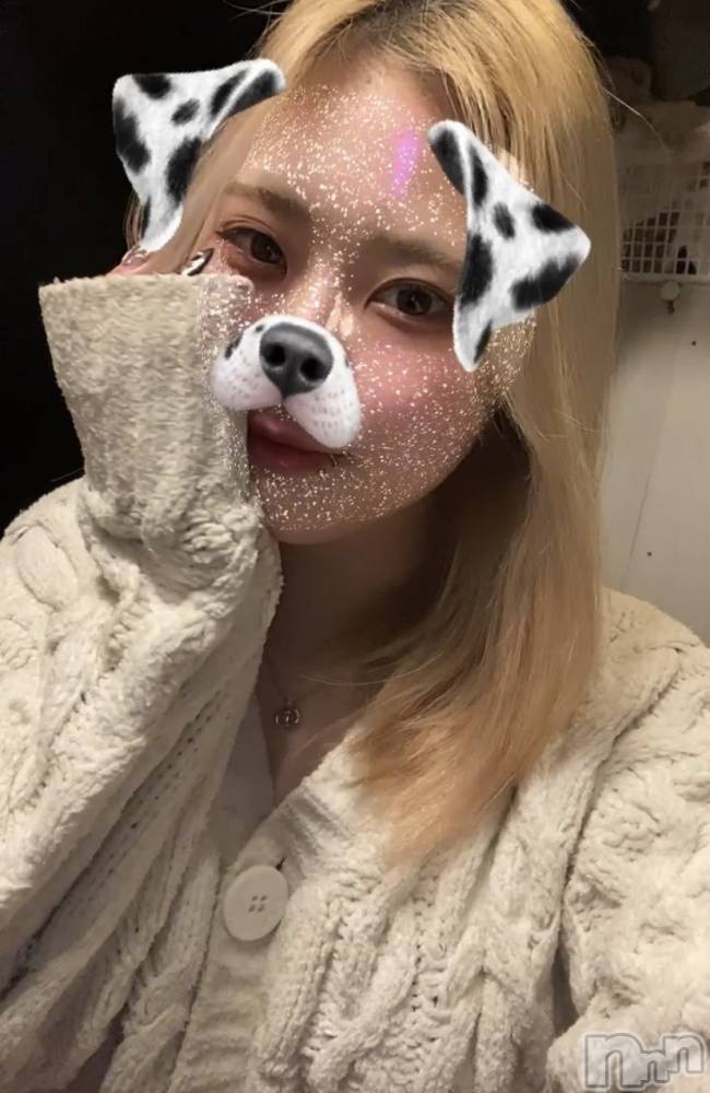 ʥå륺СROYAL ONE() Sui34̥֥֤ɤ褫ʡ