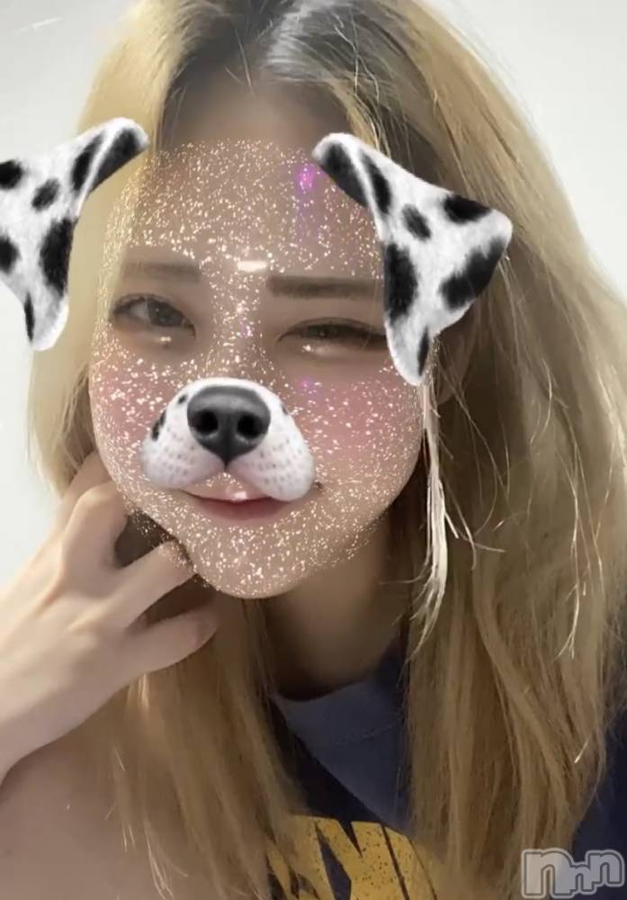 ʥå륺СROYAL ONE() Sui825̥֥֤ 👩🏻‍🏫📚