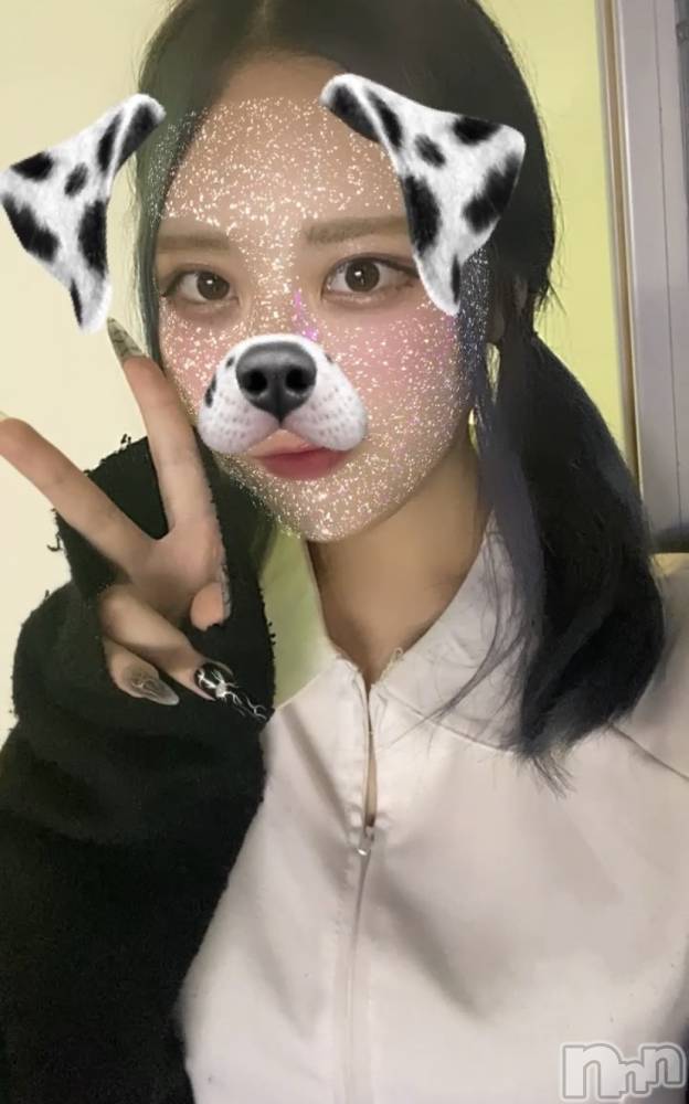 ʥå륺СROYAL ONE() Sui96̥֥֤ʢ錄