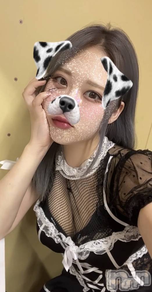 ʥå륺СROYAL ONE() Sui910̥֥֥ʡ👚🌟