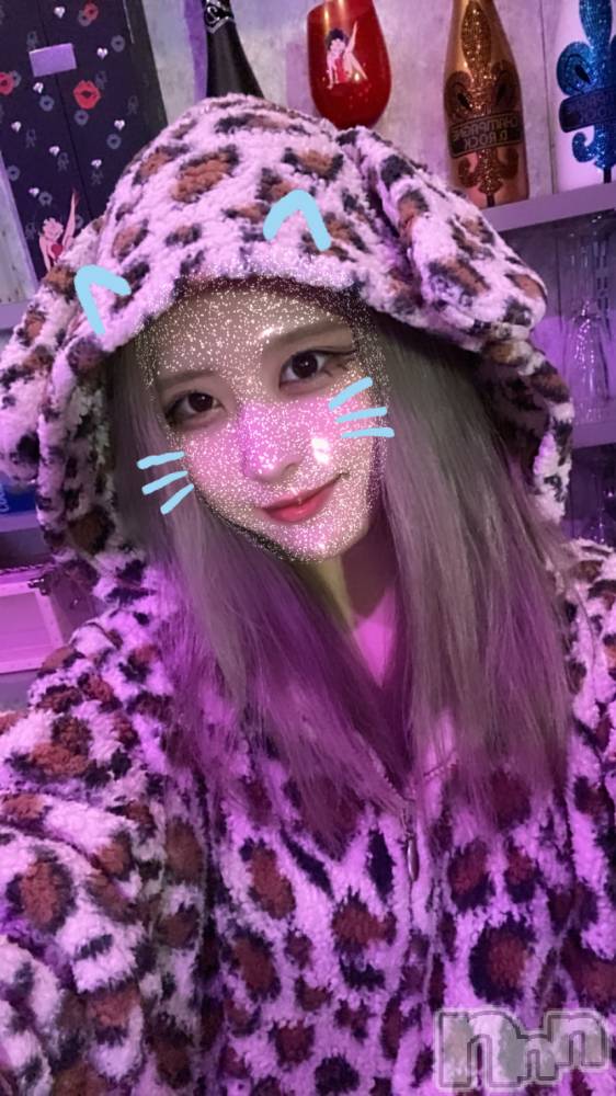 ʥå륺СROYAL ONE() Sui1011ֿ̥֥ʧ