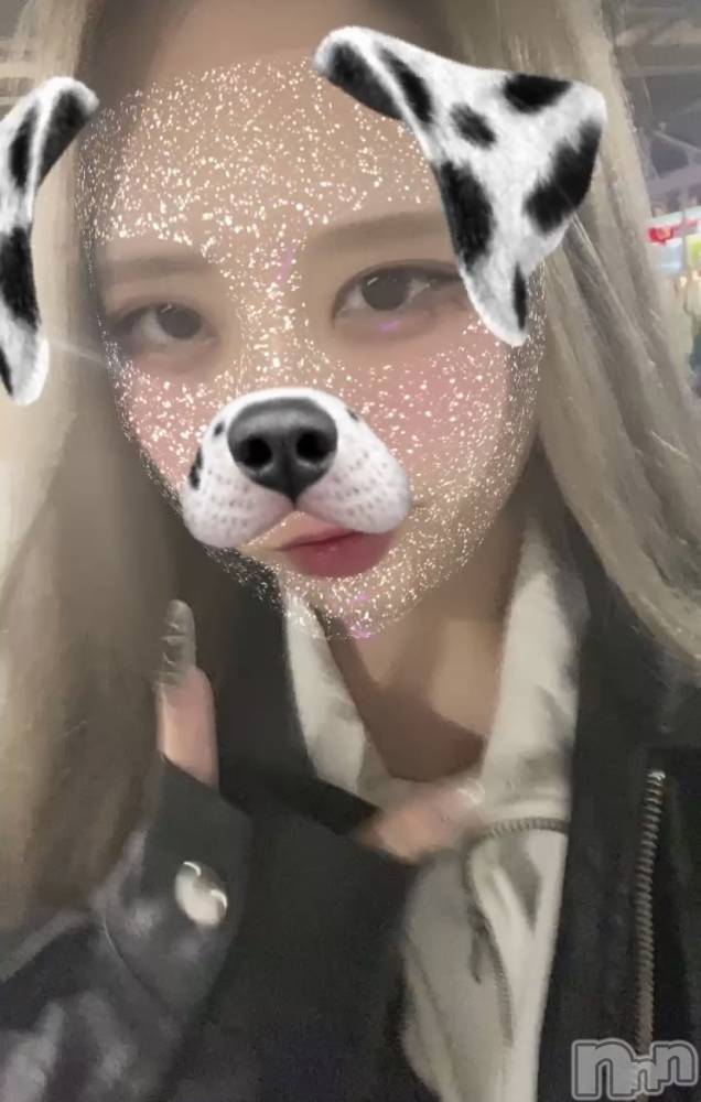 ʥå륺СROYAL ONE() Sui1013̥֥֤äȤ֤ˡ