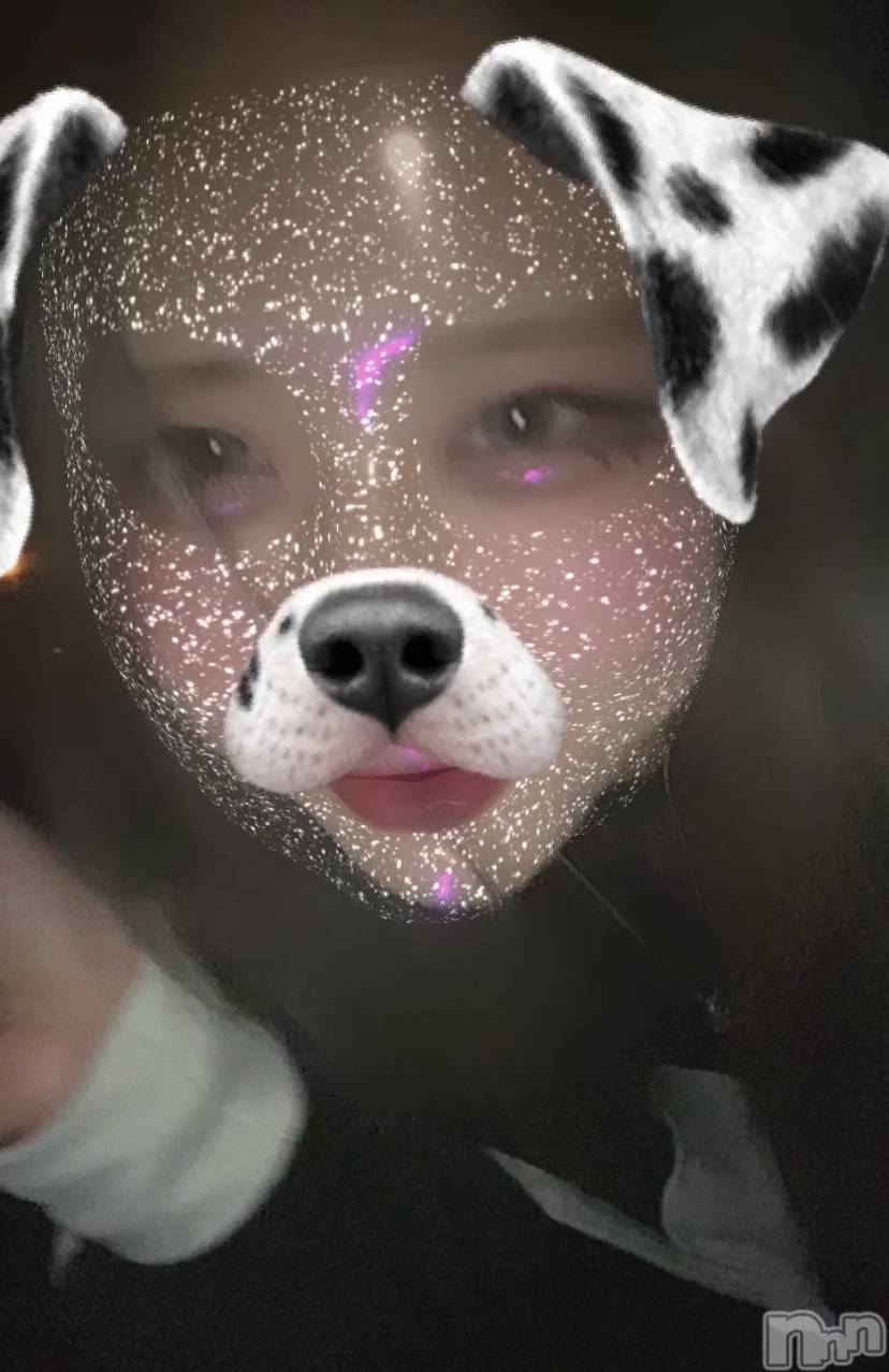 ʥå륺СROYAL ONE() 2023ǯ103ֻ̥֥פеϿ📘💫