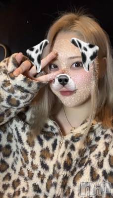 ʥå륺СROYAL ONE() Sui(20)22ֽ̥֥жФƤ😎✌️
