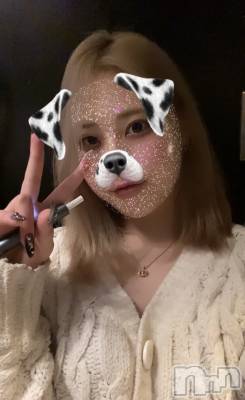 ʥå륺СROYAL ONE() Sui(20)23̥֥֤Ϥʤá