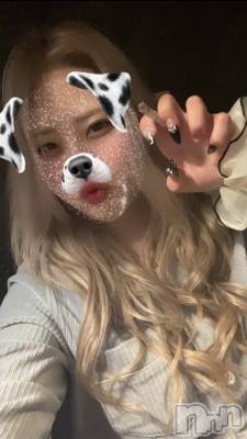 ʥå륺СROYAL ONE() Sui(20)59̥֥֤ʤ🙇