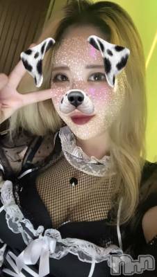 ʥå륺СROYAL ONE() Sui(20)87̥֥֥ɥˤʤäġ