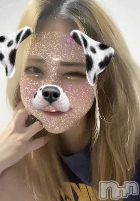 ʥå륺СROYAL ONE() Sui(20)825̥֥֤ 👩🏻‍🏫📚