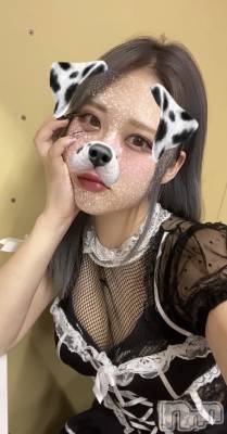 ʥå륺СROYAL ONE() Sui(20)910̥֥֥ʡ👚🌟
