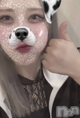 ʥå륺СROYAL ONE() Sui(20)928̥֥֤äȡ