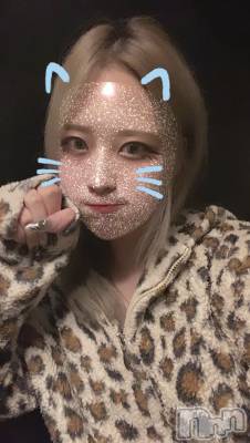 ʥå륺СROYAL ONE() Sui(20)101̥֥Ǥ🌟