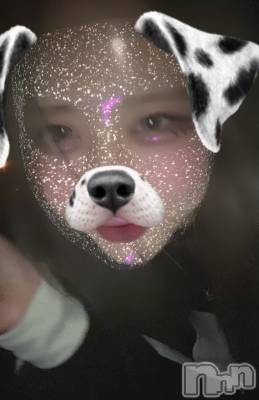 ʥå륺СROYAL ONE() Sui(20)103ֻ̥֥פеϿ📘💫