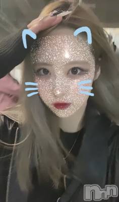 ʥå륺СROYAL ONE() Sui(20)107̥֥֤