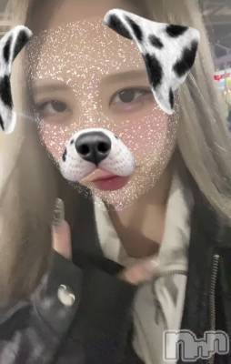 ʥå륺СROYAL ONE() Sui(20)1013̥֥֤äȤ֤ˡ