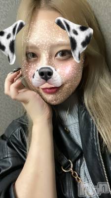 ʥå륺СROYAL ONE() Sui(20)1016̥֥٤ޤ