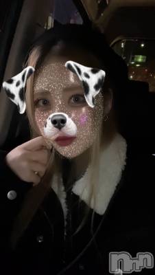 ʥå륺СROYAL ONE() Sui(20)121ּ̥֥¤ϡ ġ