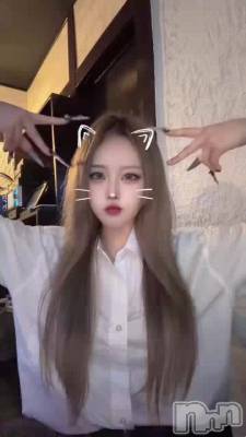 11��28�� 04��53ʬ��ư��