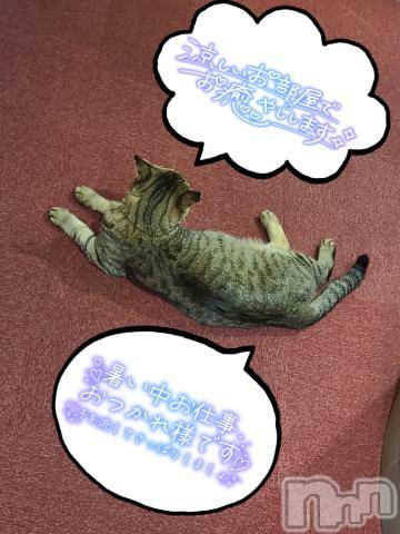 長野ぽっちゃりちゃんこ長野権堂店(チャンコナガノゴンドウテン) のえる(29)の7月22日写メブログ「猫もとろける暑さ」