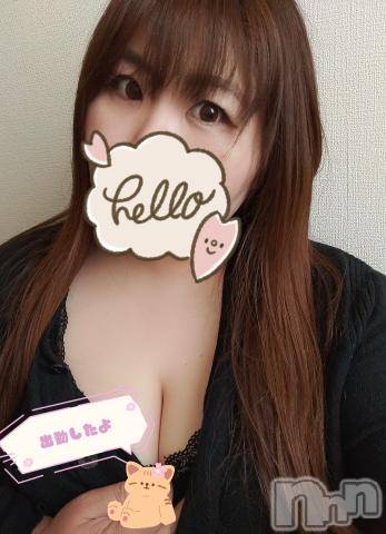 長野ぽっちゃりちゃんこ長野権堂店(チャンコナガノゴンドウテン) あんず(37)の3月19日写メブログ「出勤しました」