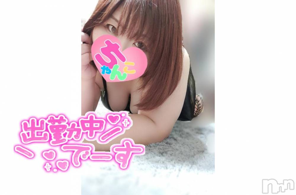 長野ぽっちゃりちゃんこ長野権堂店(チャンコナガノゴンドウテン) あんず(37)の11月1日写メブログ「私でよければ…」