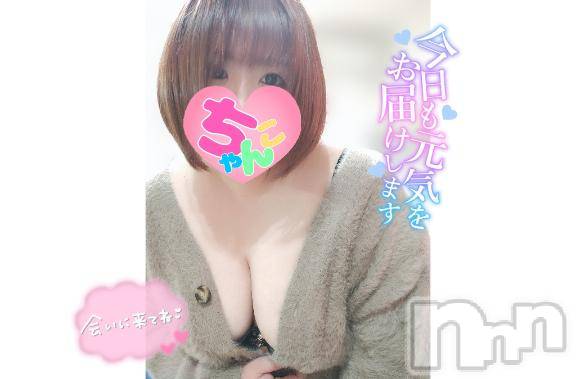 長野ぽっちゃりちゃんこ長野権堂店(チャンコナガノゴンドウテン) あんず(37)の2月9日写メブログ「本日も…🎶」