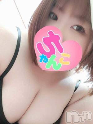あんず