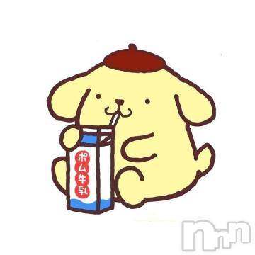 長野ぽっちゃりちゃんこ長野権堂店(チャンコナガノゴンドウテン)あんず(37)の2023年4月16日写メブログ「[お題]from:ばつ丸君も誕生日さん」