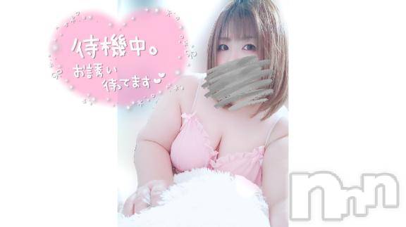 長野ぽっちゃりちゃんこ長野権堂店(チャンコナガノゴンドウテン)あんず(37)の2025年8月14日写メブログ「たぶん、ふわふわだよ？」