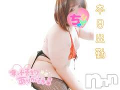 長野ぽっちゃりちゃんこ長野権堂店(チャンコナガノゴンドウテン) あんず(37)の7月25日写メブログ「夜にね❤」